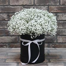 Цветочная композиция из Гипсофила в шляпной коробке в городе Сатка