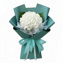 Букет цветов из:  Гортензия в городе Сатка